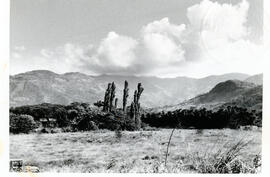 4153-27.jpg