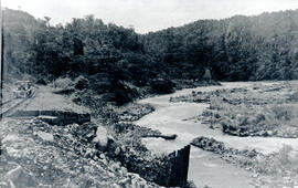 Fotografía panorámica del río Reventazón, en las cercanías de la estación de Las Lomas. Se oberva...