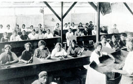 Fotografía con la imagen de un grupo de mujeres escogiendo café, en el beneficio de la familia Sa...
