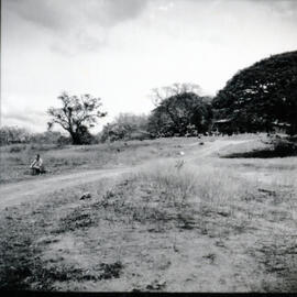 4118-12.jpg