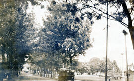 Fotografía con la imagen del Parque Francisco Morazán. San José, Costa Rica