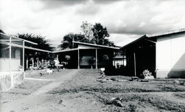 6241-7.jpg