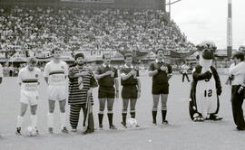 6277-11.jpg