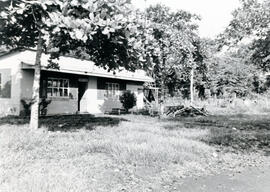 5683-2.jpg