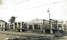 Fotografía de una estación del Ferrocarril para cargar y descargar ganado, aparentemente en Alajuela