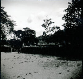 4126-15.jpg