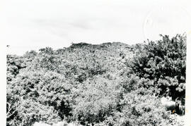 4153-24.jpg