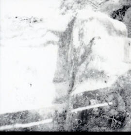 4122-24.jpg