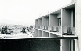 4385-9.jpg