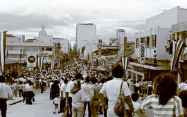 6003-38.jpg