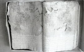 4631-8.jpg