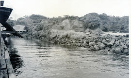 274-8.jpg