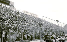 6276-24.jpg