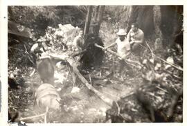 Fotografías accidente ocurrido a la aeronave N-5086-U. Propiedad de Hugh E. Wandel y Lawrence Loc...