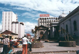Fotografía con la imagen del jardín de la Catedral Metropolitana sobre la avenida segunda y algun...