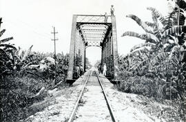 Fotografía del puente del Ferrocarril Norte. Se observa a los lados las plantaciones de banano y ...