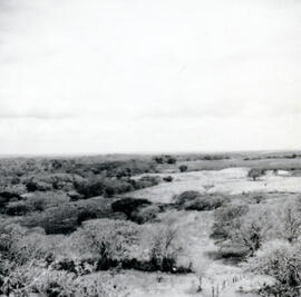 4119-11.jpg