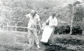 4431-2.jpg