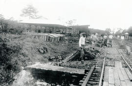 4615-11.jpg