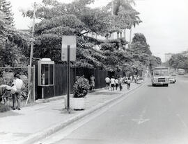 Fotografía del Paseo Colón, avenida central hacia el este y se ve la verja del Hospital Nacional ...