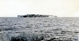282-6.jpg