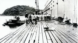 274-13.jpg