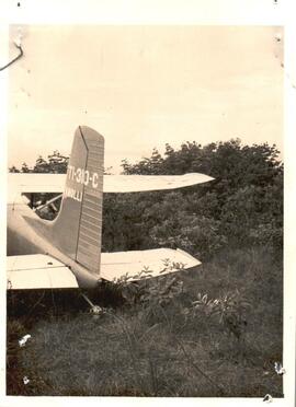 251901.jpg