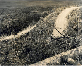 Fotografía del Tirabuzón y Mirador de la fila de cal. Carretera Corredores-Sabalito, sección 2-3....