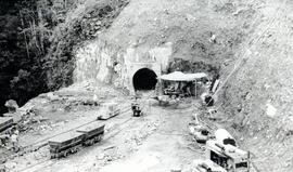 4167-5.jpg