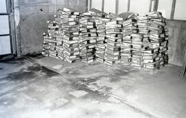 4629-9.jpg