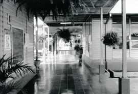 6241-2.jpg