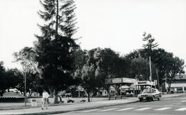 Fotografía con la imagen del parque de Tibás San José