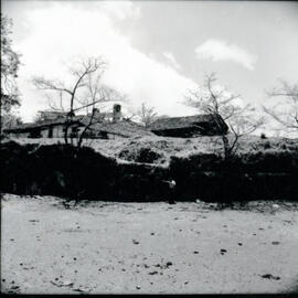 4117-5.jpg