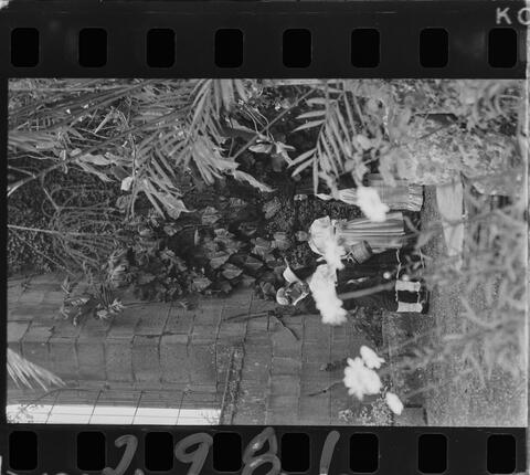 Open original Digital object