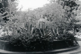 Fotografía del monumento a Rodolfo Salas don Fito, ubicado en el Parque del Barrio Los Cedros. Li...