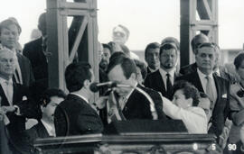 4978-10.jpg
