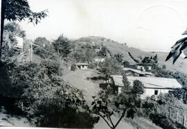 003634-3