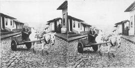Fotografías estereoscópicas de la antigua Calle de la Universidad. Avenida 2 hacia el este. Las c...