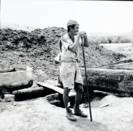 4125-2.jpg