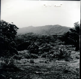 4128-9.jpg