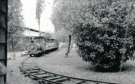 6286-4.jpg