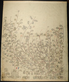 Genealogía de las familias Quirós Abarca, Bonafil Quirós, Golcher, Rojas, Fernández de Tenorio, C...