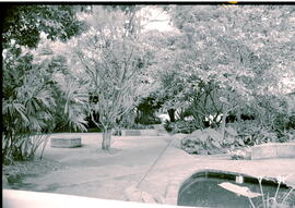 5635-6.jpg