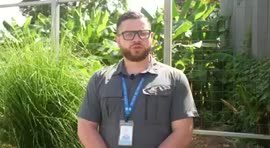 Video sobre medicación masiva contra la Malaria en Los Chiles