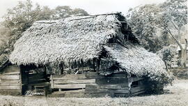 Fotografía de una choza, en un sitio no especificado de Costa Rica. San José