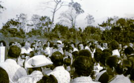 6138-5.jpg