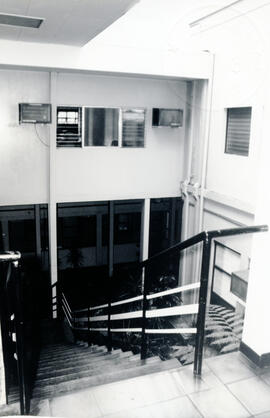 3946-2.jpg