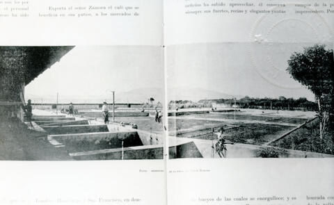 Open original Document numérique