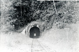Fotografía de un túnel ferroviario construido en 1938 en las cercanías de la estación de Torito. ...