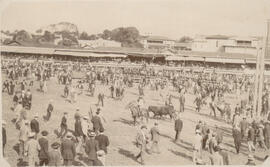 Fotografía estereoscópica de una corrida de toros. Se observa gente dentro de la plaza. Esta Foto...